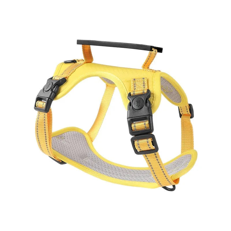 Adjustable polyester dog harness and lead set in multiple colours, shown on a dog, with front-chest attachment ring.