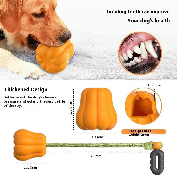 Orange pumpkin-shaped Bite Molar plastic dog chew toy with a blue rope attached for tugging.
