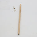 Seed pencil HB refill with biodegradable capsule containing plant seeds in multiple colour options