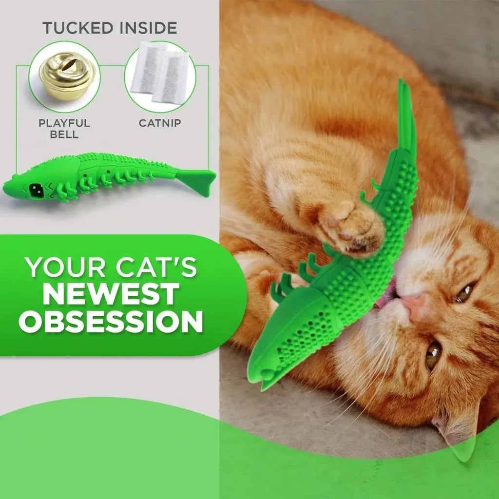 Blue hard rubber cat toy with textured surface for teeth cleaning, containing catnip and a bell.