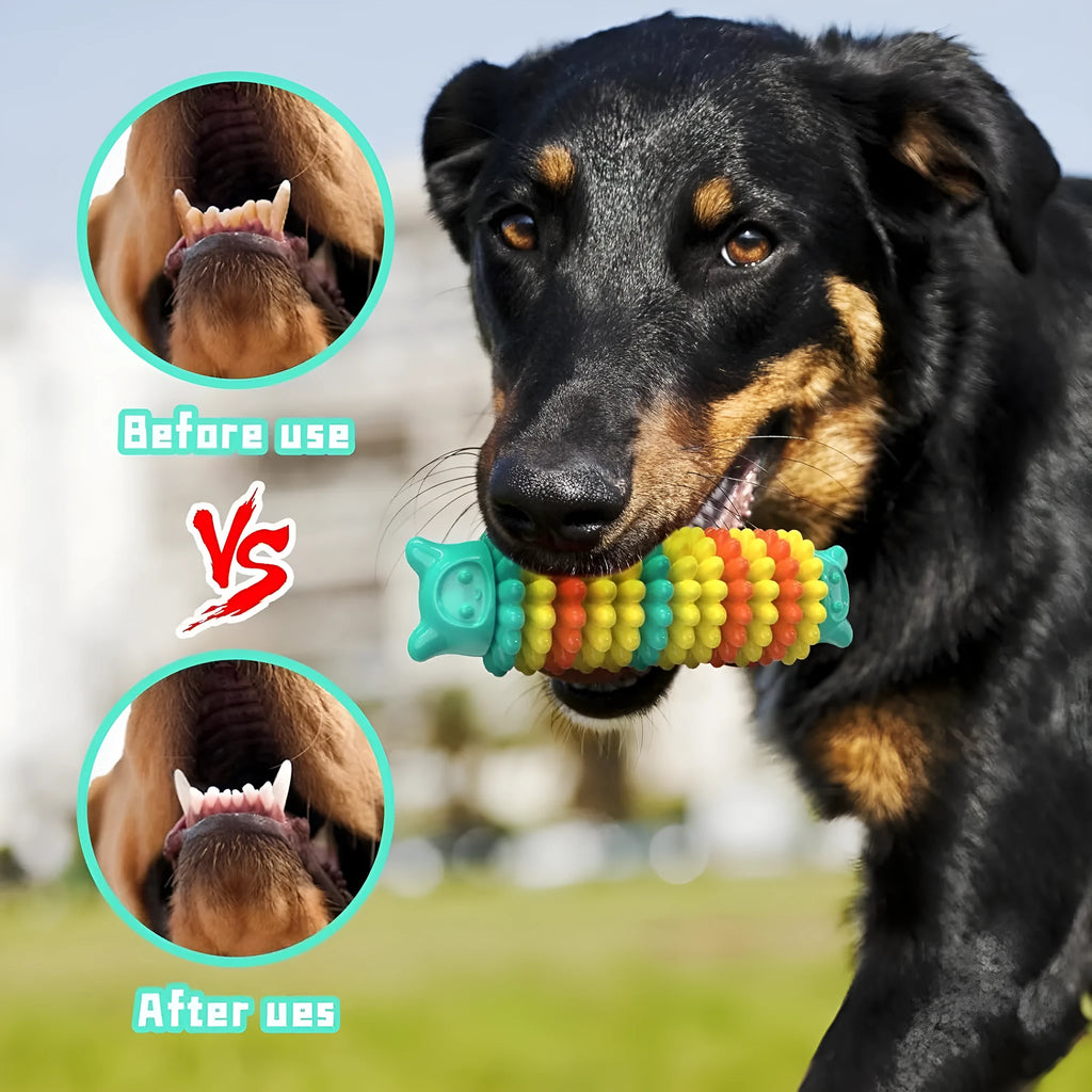 Blue natural rubber caterpillar-shaped dog chew toy for aggressive chewers.