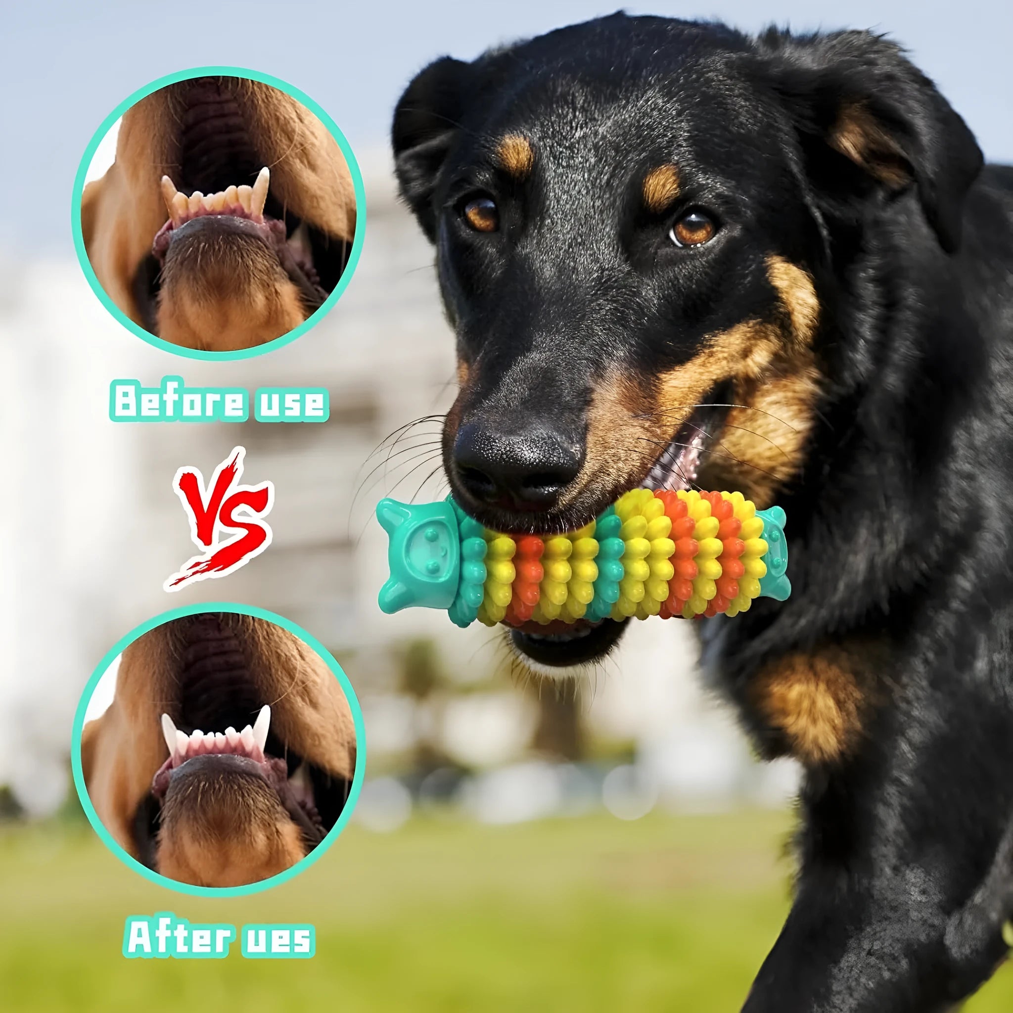 Blue natural rubber caterpillar-shaped dog chew toy for aggressive chewers.