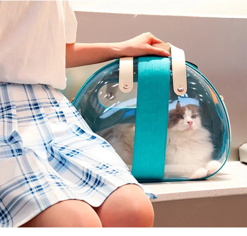 Double Fish transparent PVC pet backpack carrier for small dogs and cats with locking mechanism and ventilation holes, sky blue colour