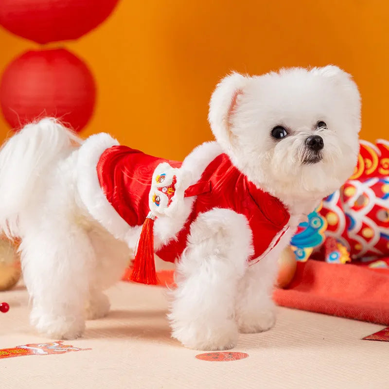 Red lion dance Tang suit pet vest with 3D lion head, tassel, and golden knot buttons for small dogs and cats.