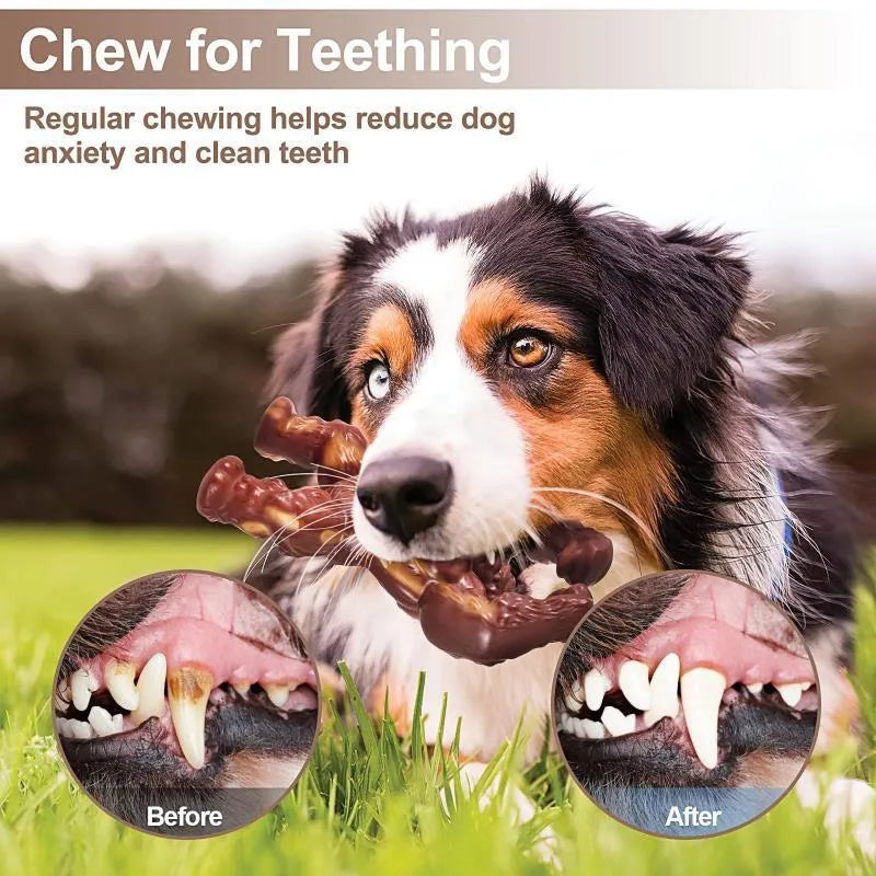Scarlet beef-flavoured nylon dog chew toy with textured surface for dental cleaning