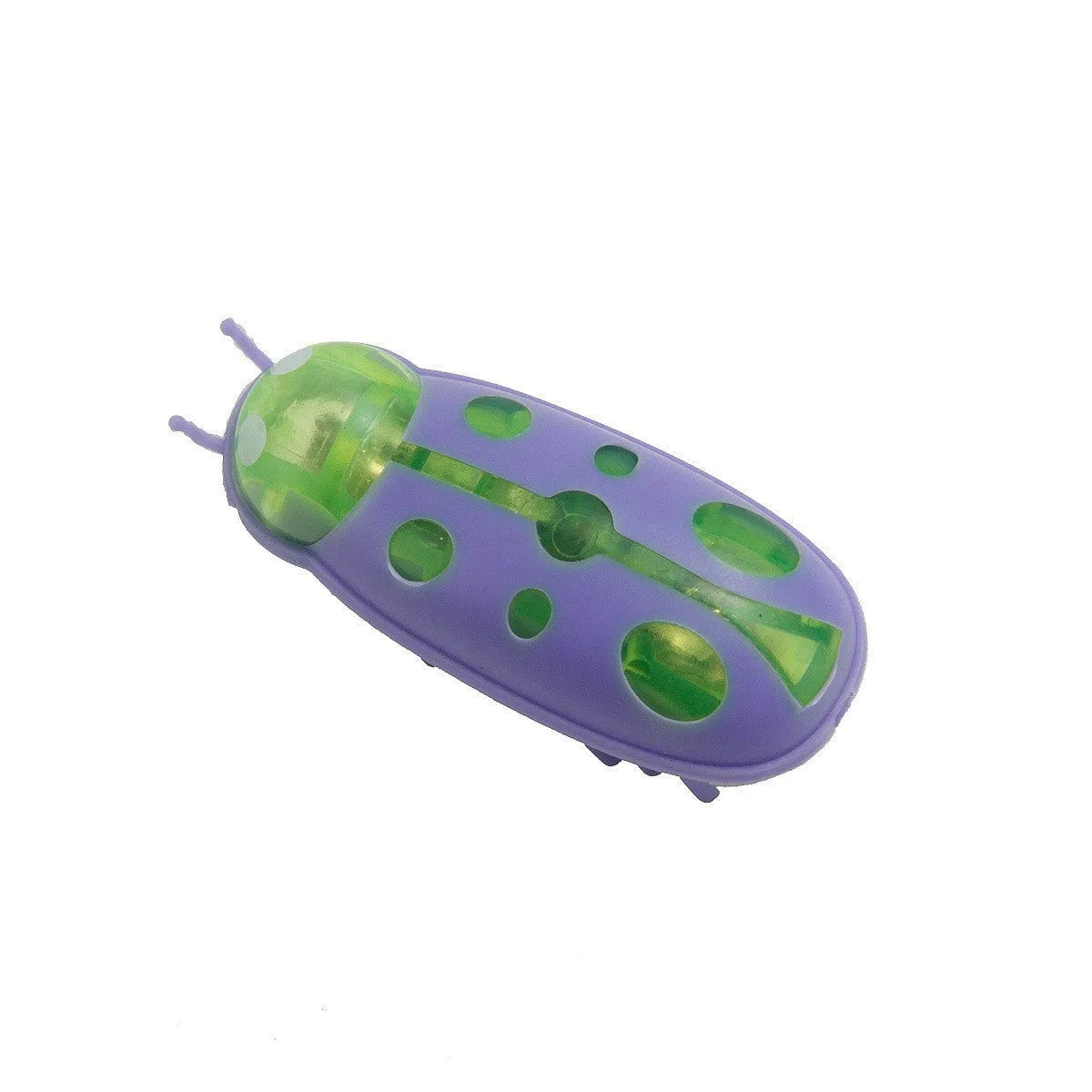 Small motorised insect pet toy in red ladybird design on wooden floor
