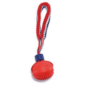 Blue dog ball with attached rope, showing textured surface and total length of 29 cm.
