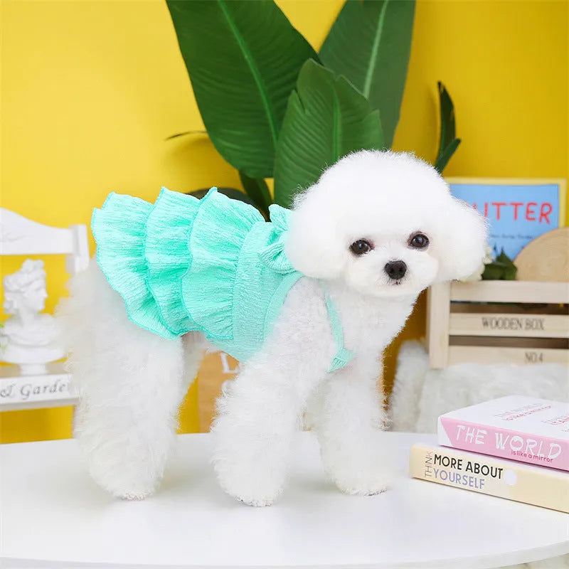 Small white dog wearing a rose red layered skirt princess dress.