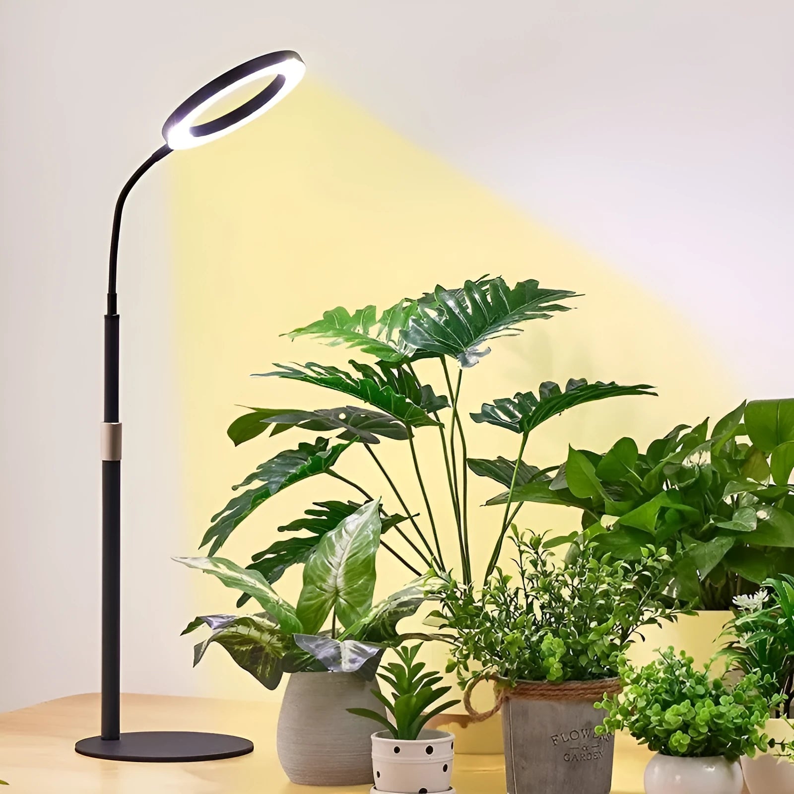 White retractable floor plant grow light with circular LED head extended on a pole.