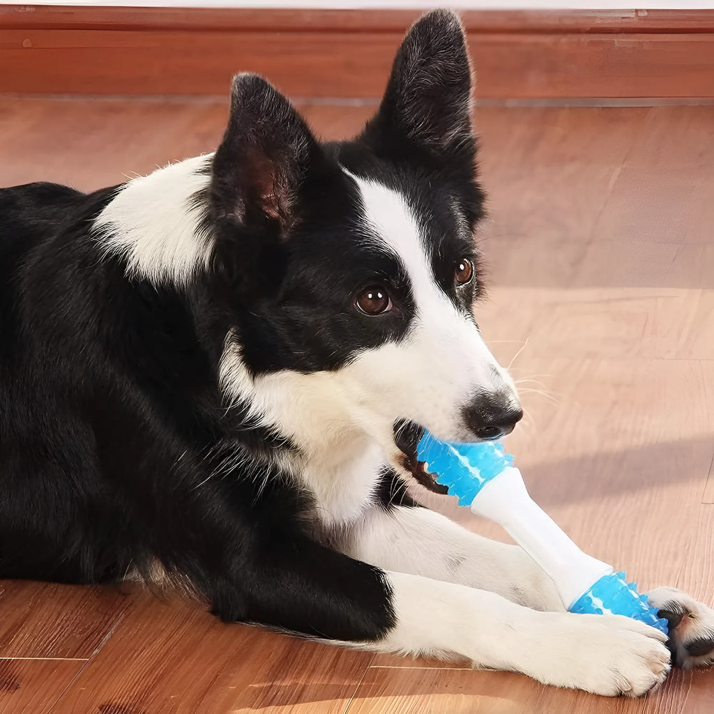 Dual-colour puppy teething chew toy made from TPR rubber for gentle chewing and dental health.