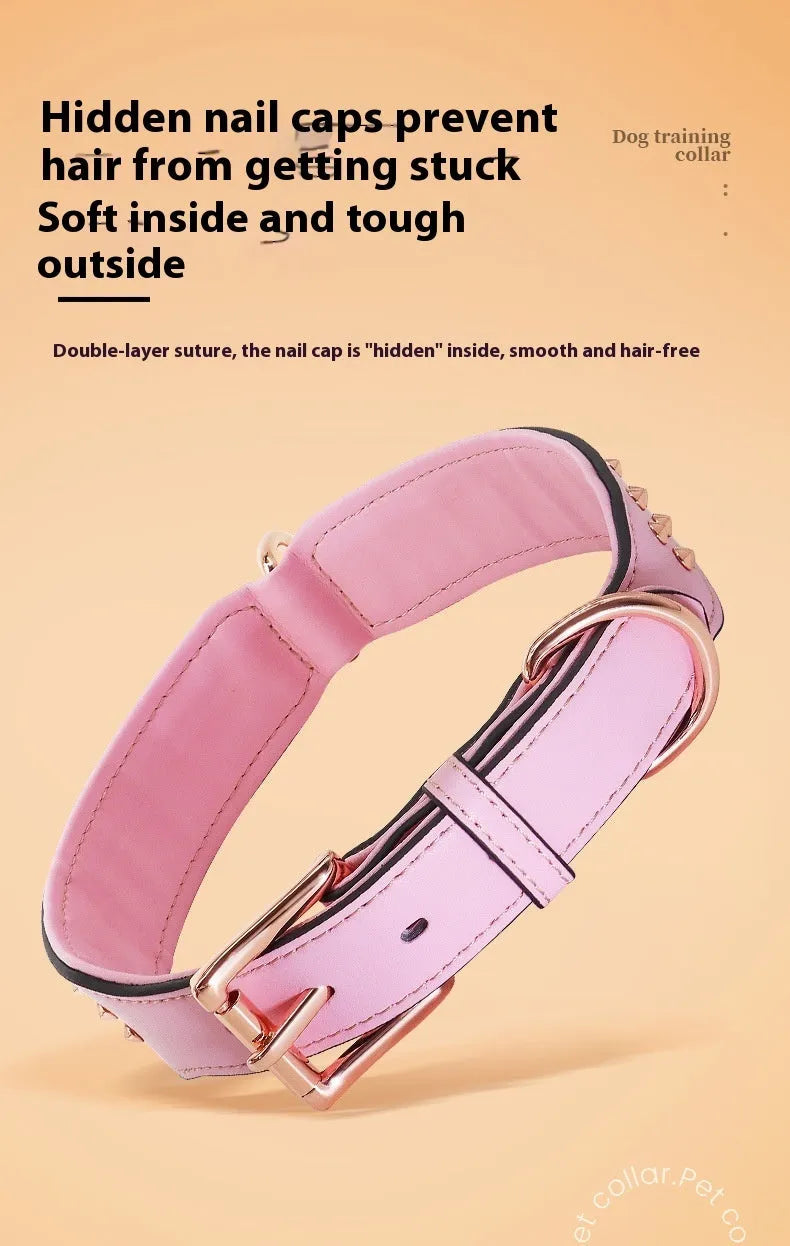 Leather dog collar with metal rivets and buckle in chocolate colour on a white background.