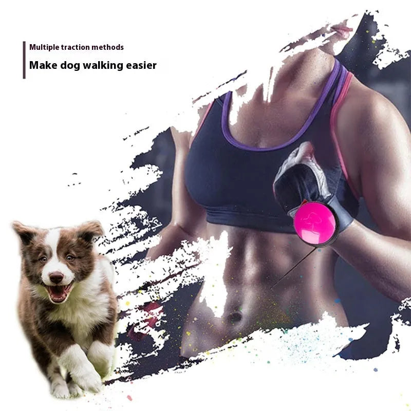 3-metre explosion-proof retractable dog leash in bright colours with automatic retraction mechanism