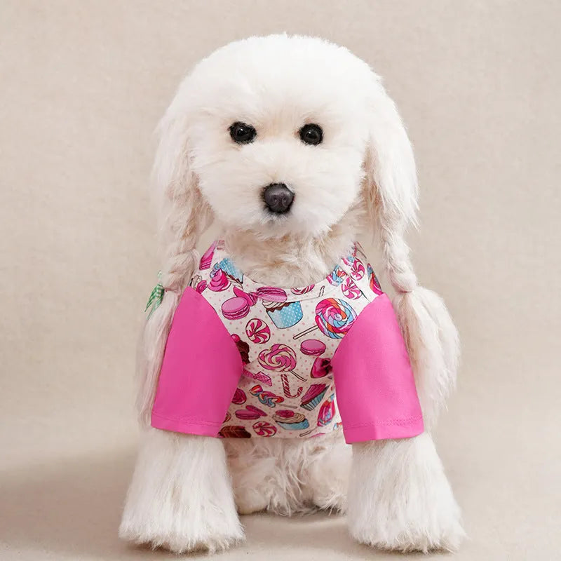 Colourful printed T-shirt on a small dog, showing the casual fit and full graphic design.