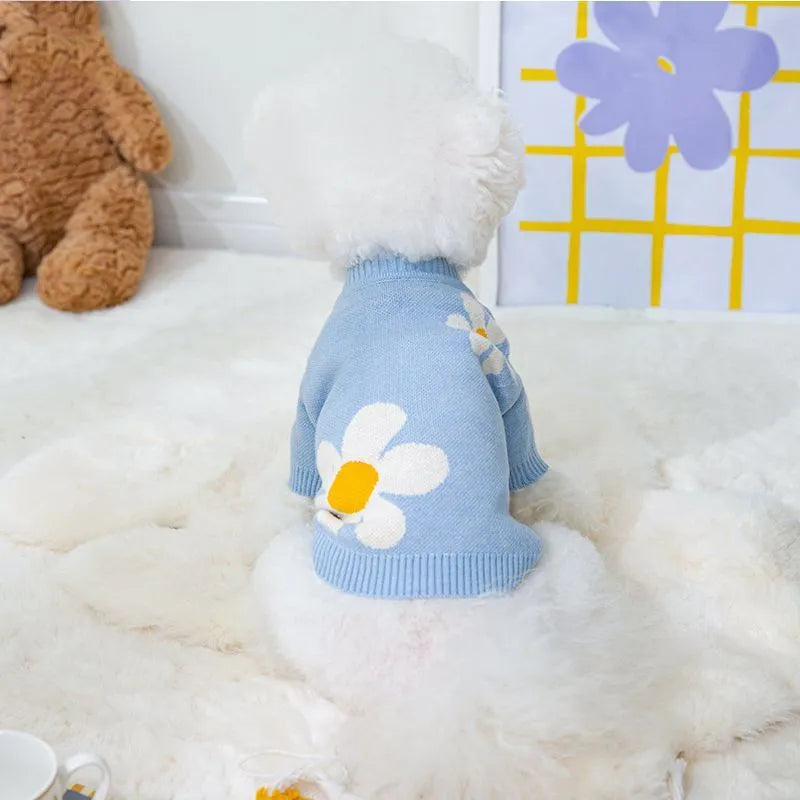 Blue hooded polyester sweater on a small dog, showing autumn winter pet coat design.