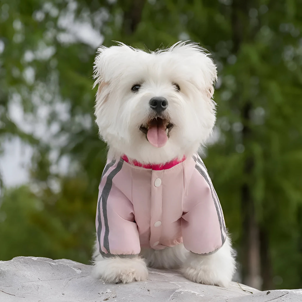 Autumn winter dog down jacket with fleece lining for small medium dogs in red and yellow colour options