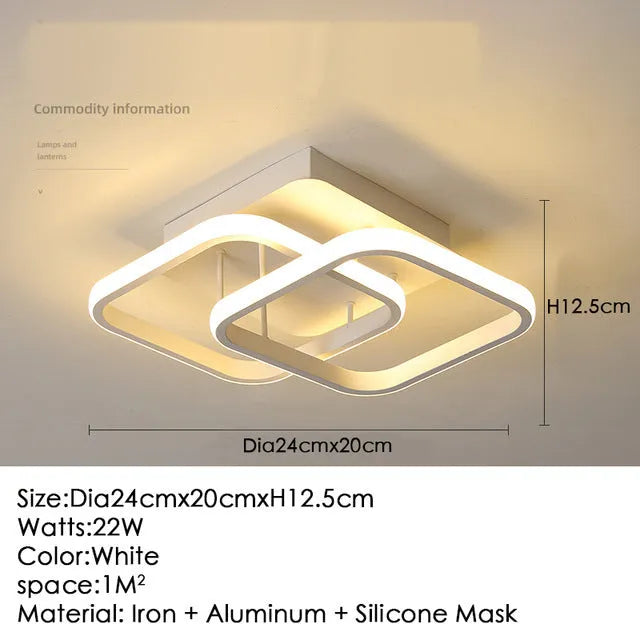 Modern aluminium ceiling lamp in black for corridor entrance hall lighting with remote control
