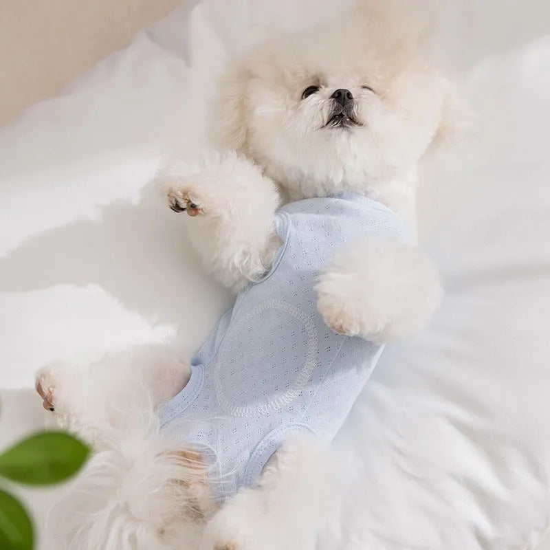 Soft yellow mesh pet shirt with cartoon cat patch and button closure on a small dog or cat