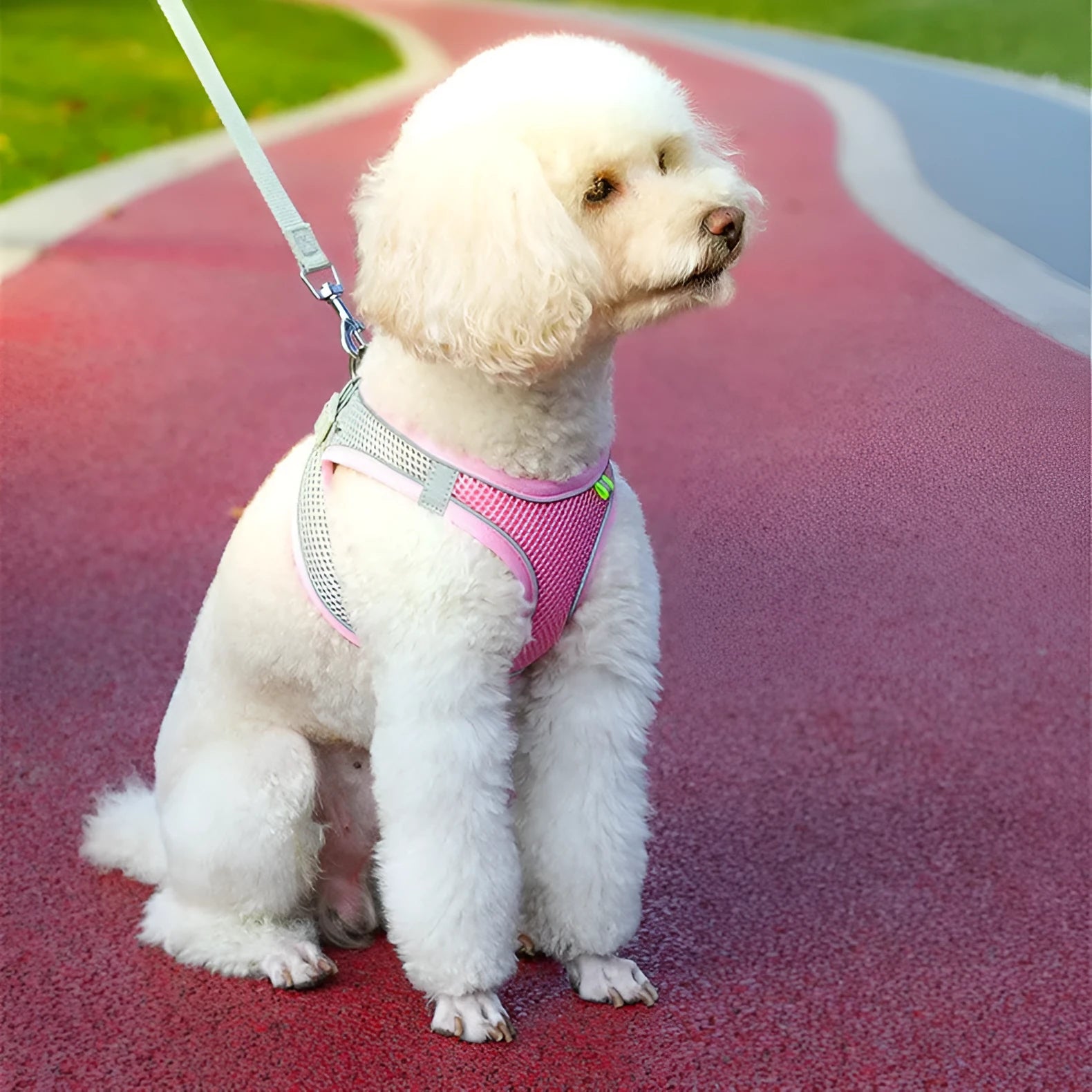 Reflective vest-style dog harness in breathable polyester with adjustable straps and rope leash
