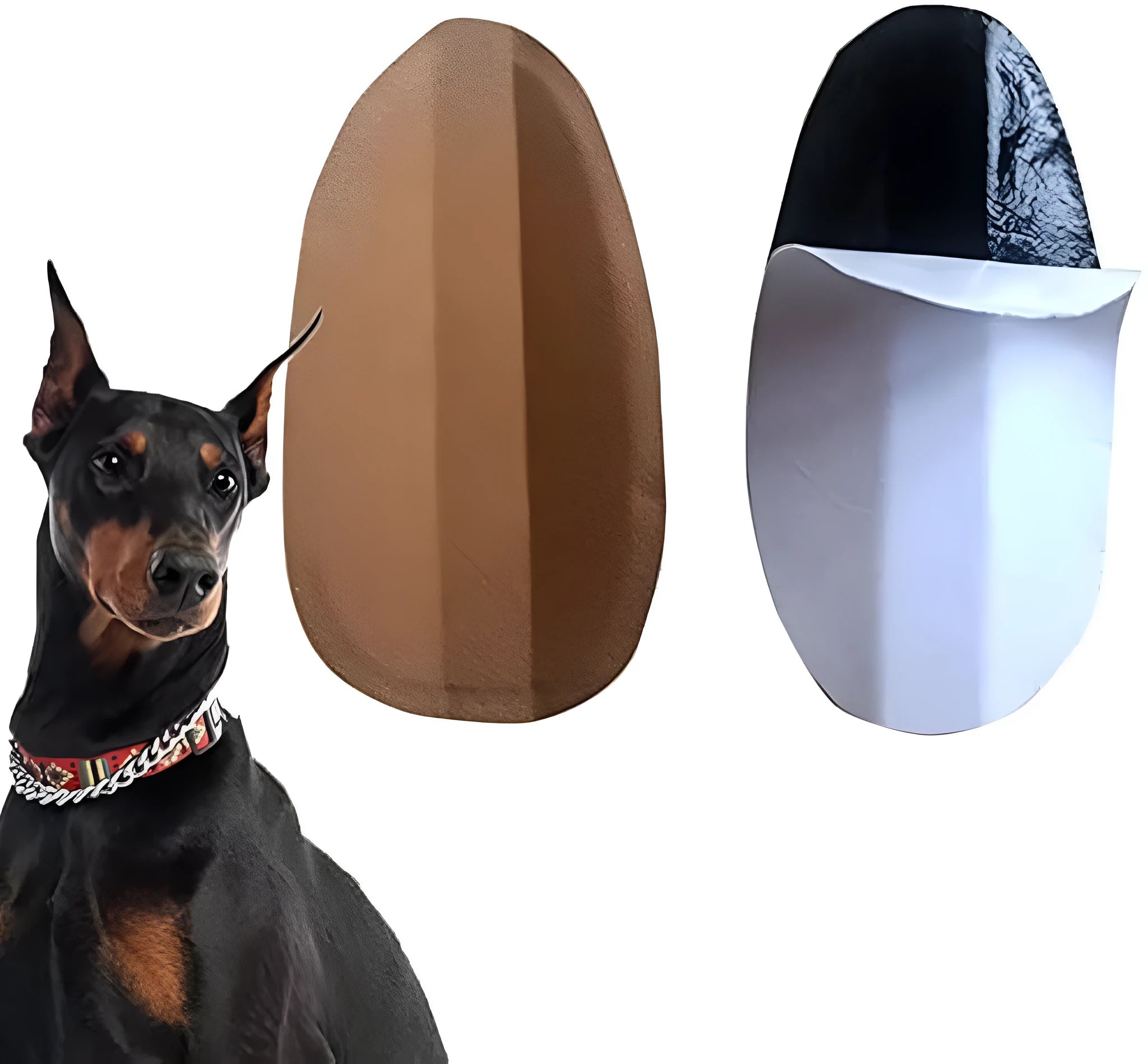 Dog ear stand up support sticker on Doberman puppy ear with adjustable fit