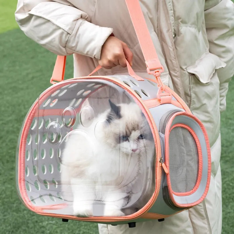Large transparent hard-shell EVA cat backpack carrier folded and in use, shown in various colours.
