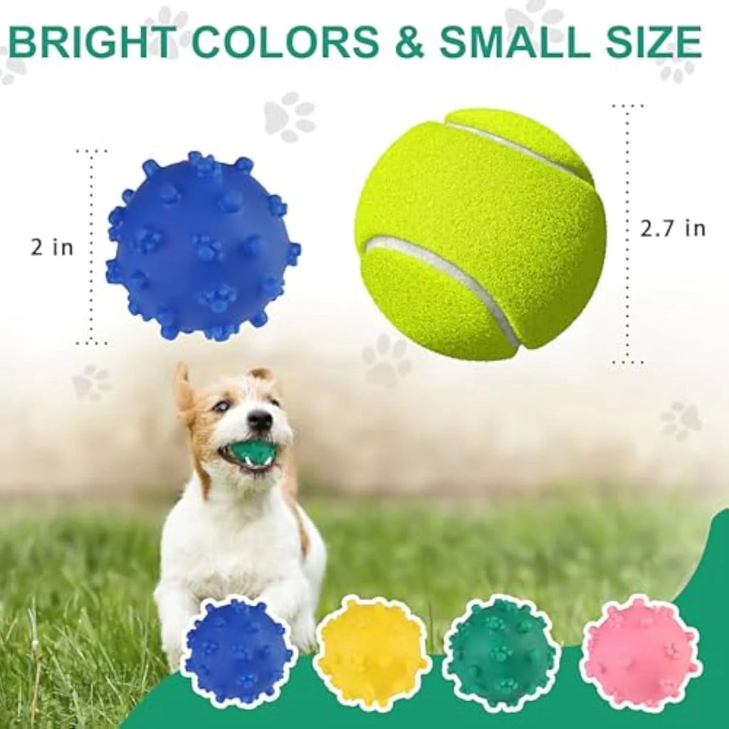 Bright blue, green, pink, and yellow spiked squeaky dog toy balls on a grass lawn.