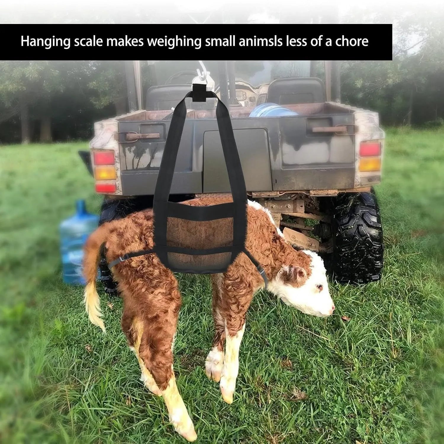 Black livestock weighing sling measuring 35cm wide by 150cm long for calves and large dogs