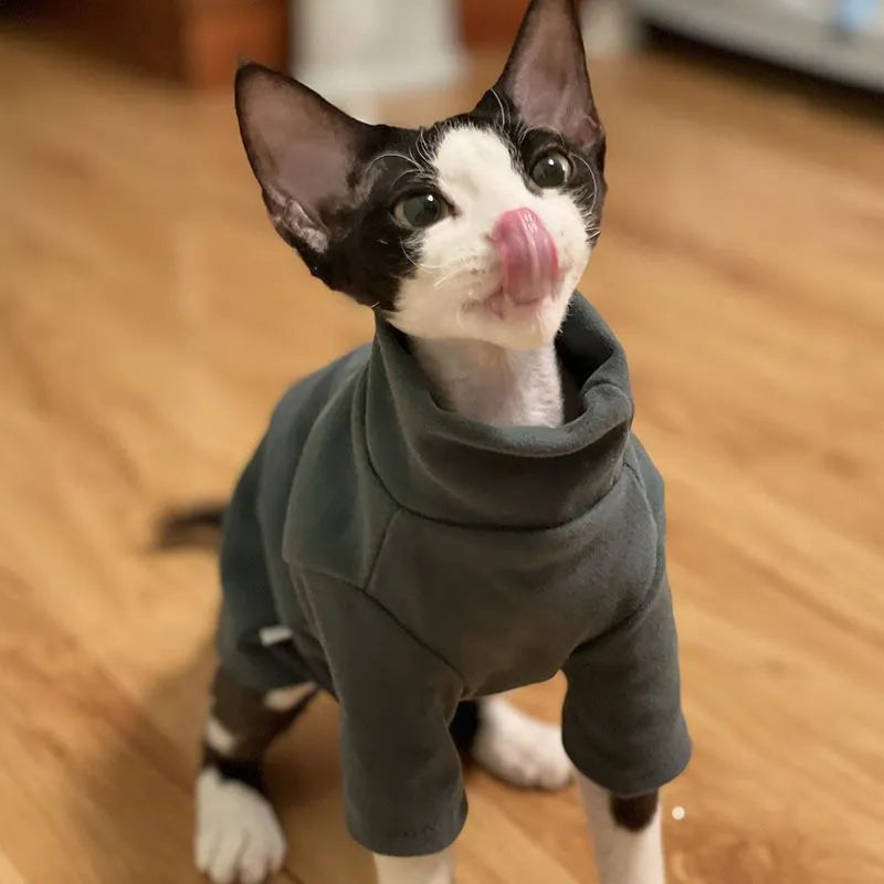 Self-heating hairless cat hoodie in Dralon polyester, black or green, sizes XS to 3XL, autumn winter base layer