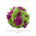 Purple plush sea ball dog chew toy approximately 15cm diameter for teething puppies