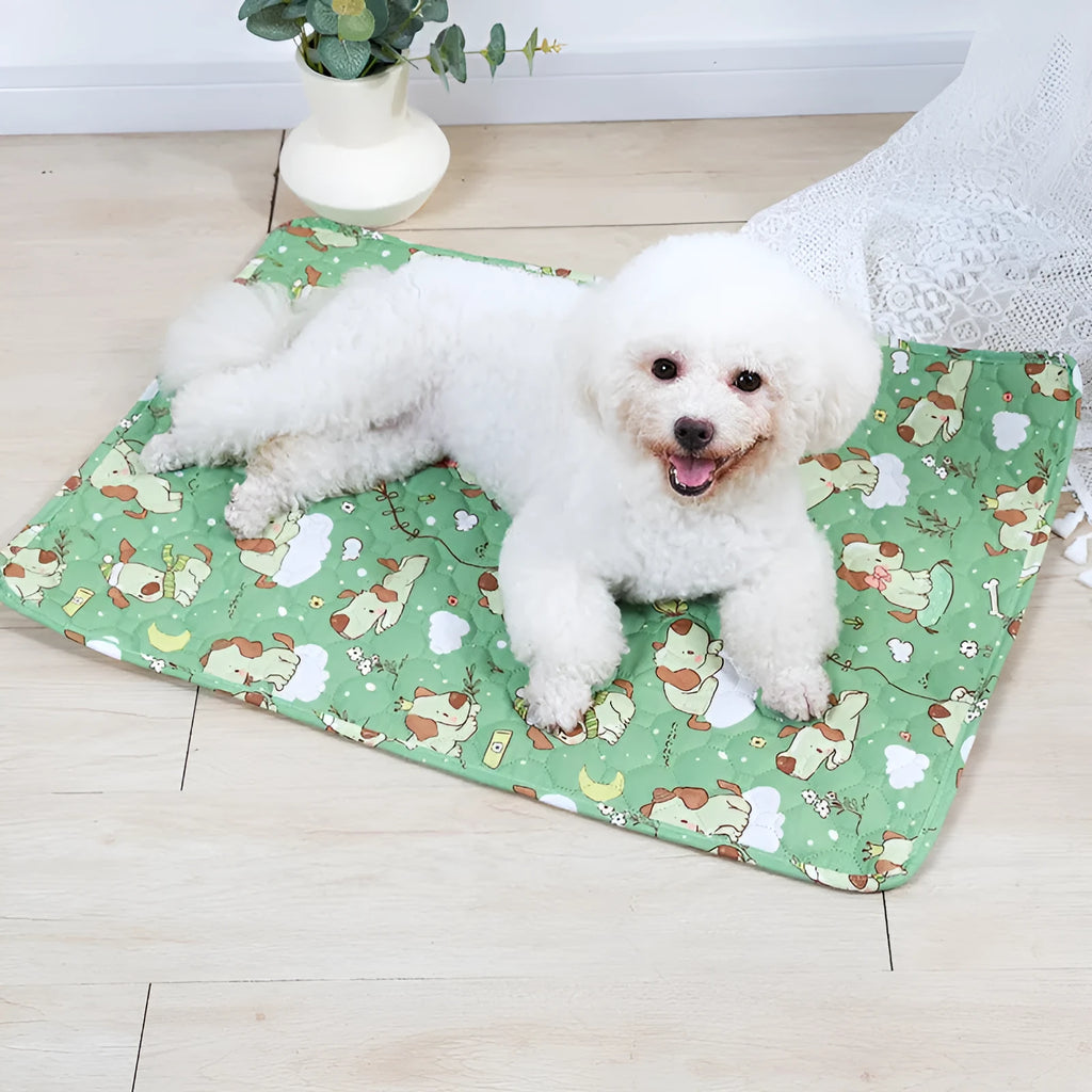 Reusable waterproof pet urine pad with animal print design and non-slip cloth backing