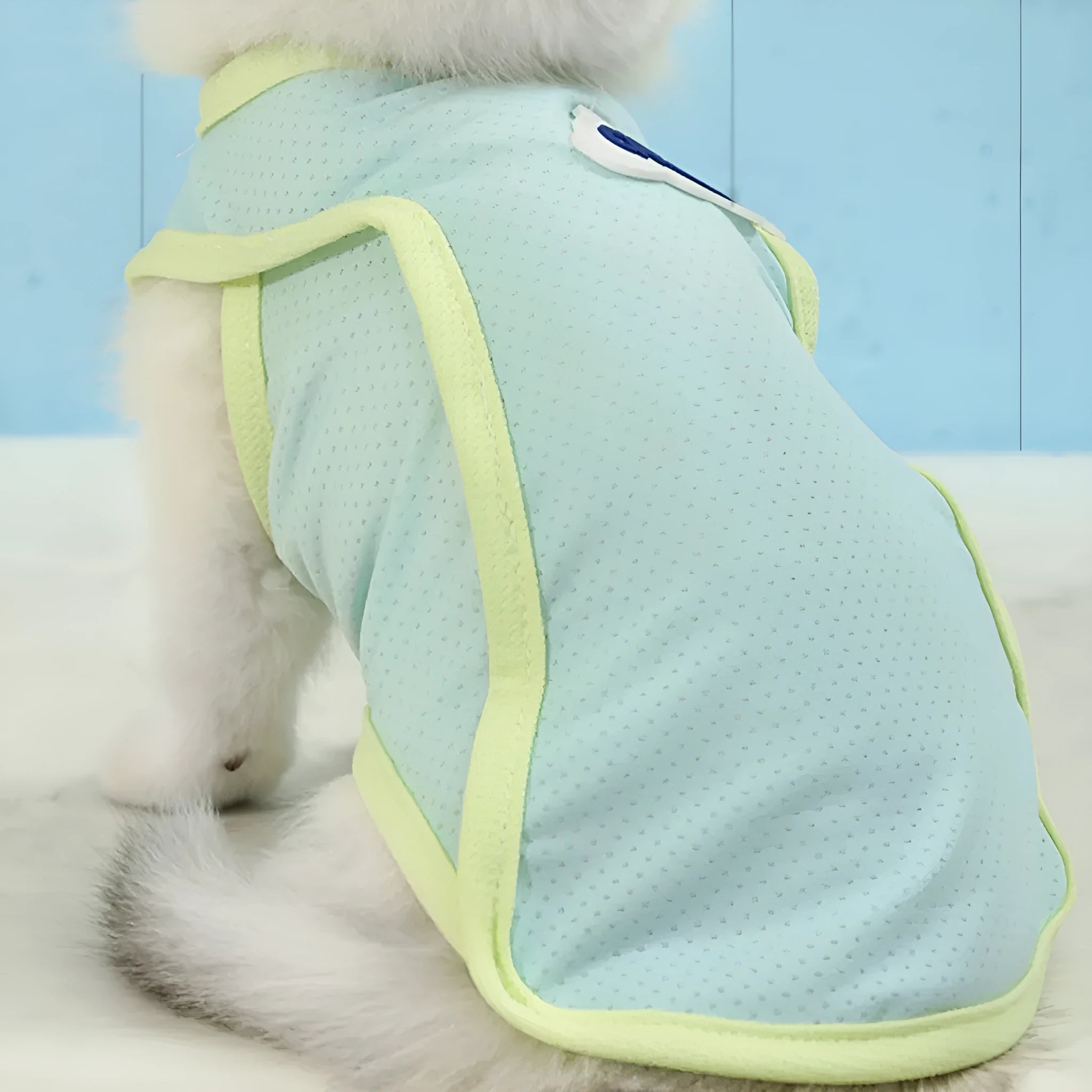 Lightweight grass green polyester vest for a cat, showing a simple sports-style pullover design.