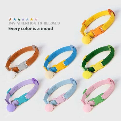 A small dog's elastic polyester collar in a monochrome colour, adjustable between 22cm and 32cm.