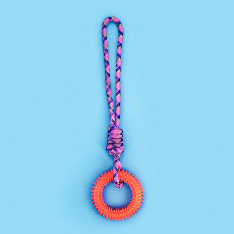 Blue braided rope dog toy with multiple knots, measuring 43cm long, on a white background.