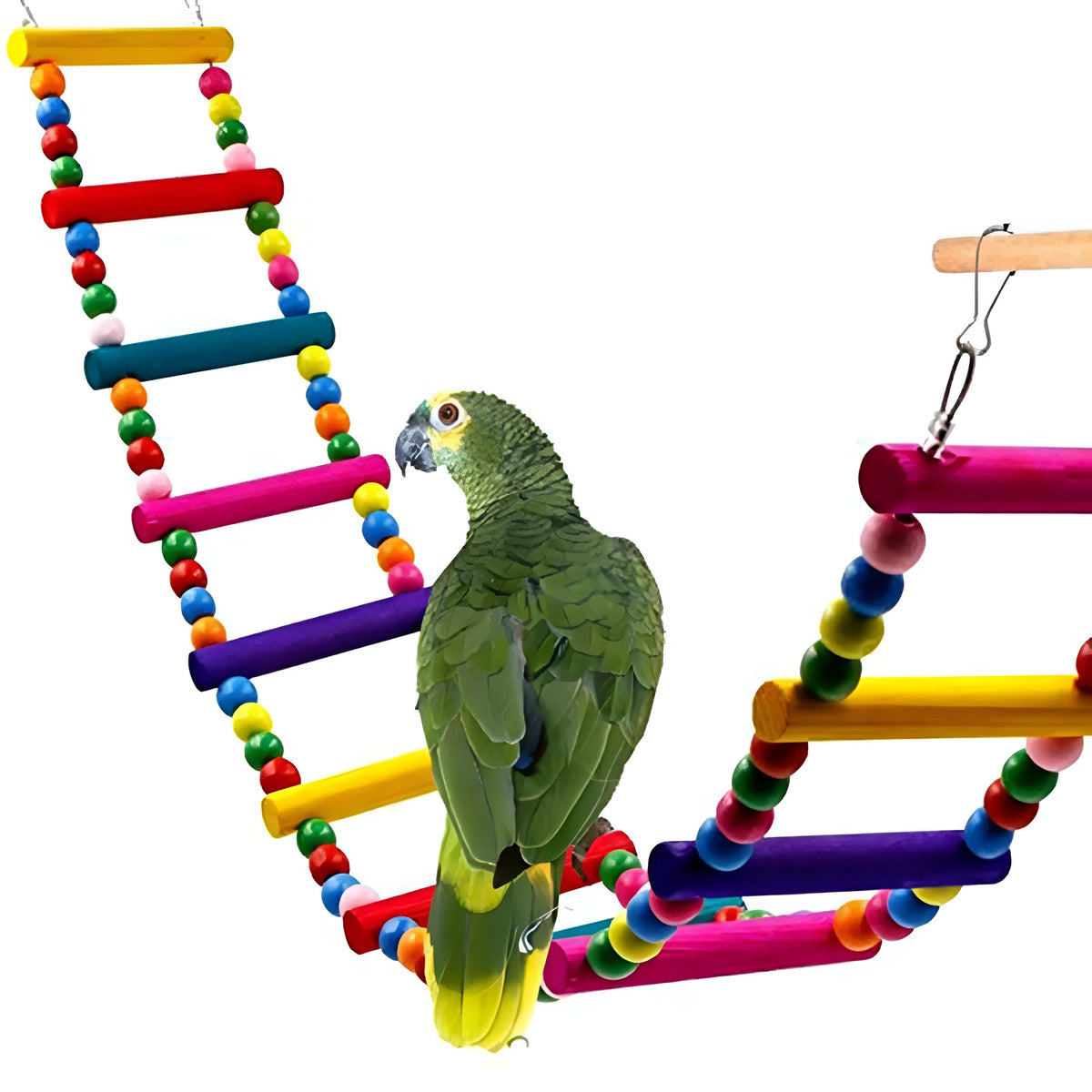 Wooden parrot climbing ladder with colourful rotating beads for bird cage enrichment