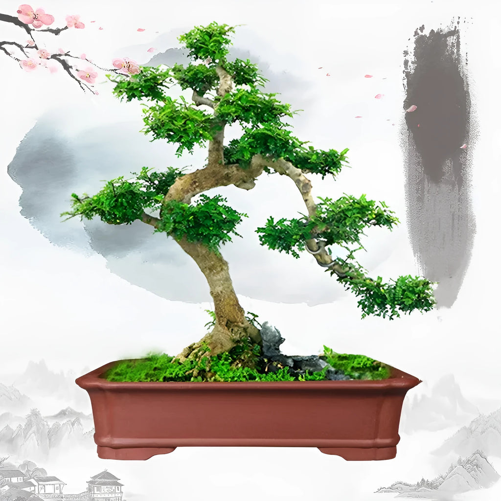 Large rectangular handmade purple clay bonsai pot showing its thick walls and three size options.