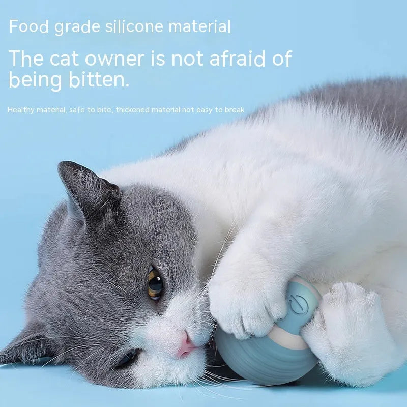 Blue and pink automatic self-moving silicone cat toy ball with charging cable.