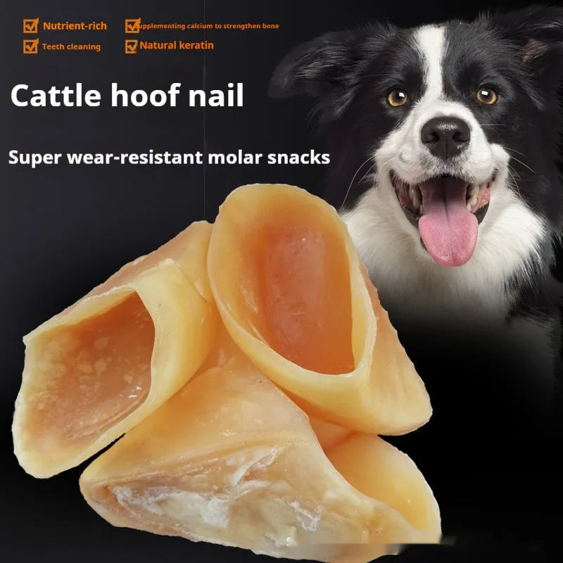 Natural cowhide hoof shell dog chew for small or large breeds on a white background.