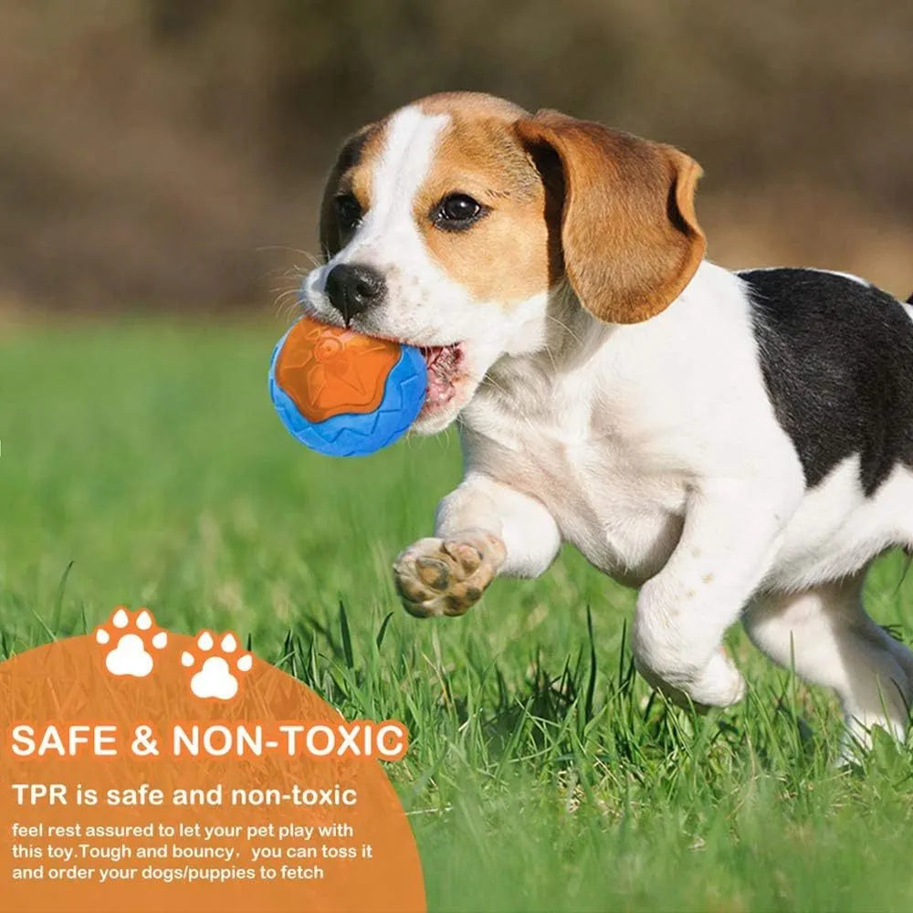 Set of three TPR dog toys: a squeaky ball, barbell, and floating tyre for pool fetch play