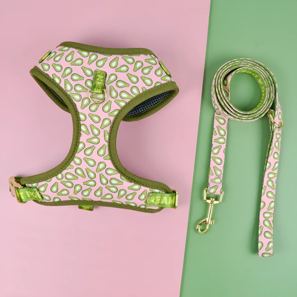 Polyester chest-back dog haulage rope harness for medium and large breeds in multiple colour options