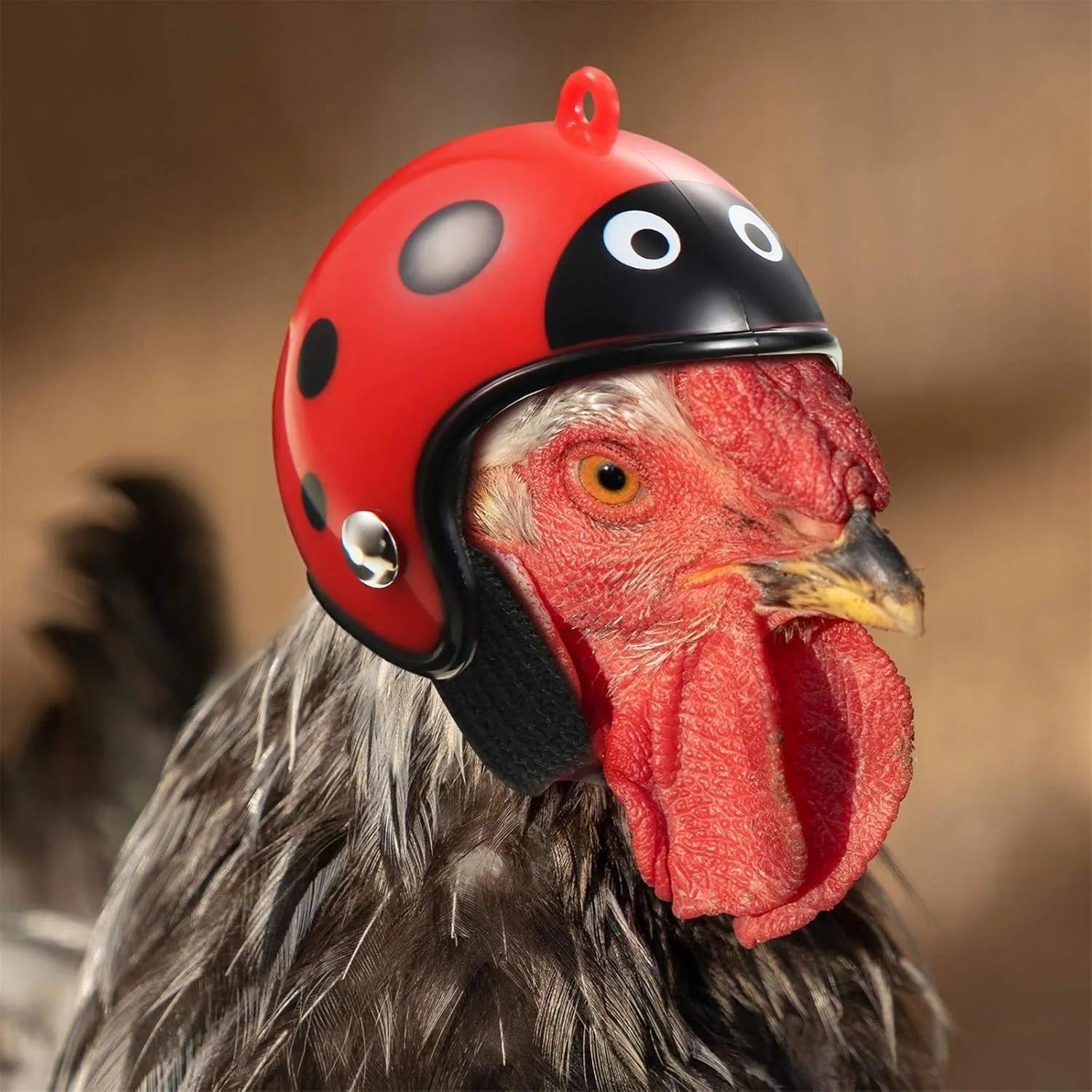 Adjustable pet safety helmet for small chickens and birds with elastic bands