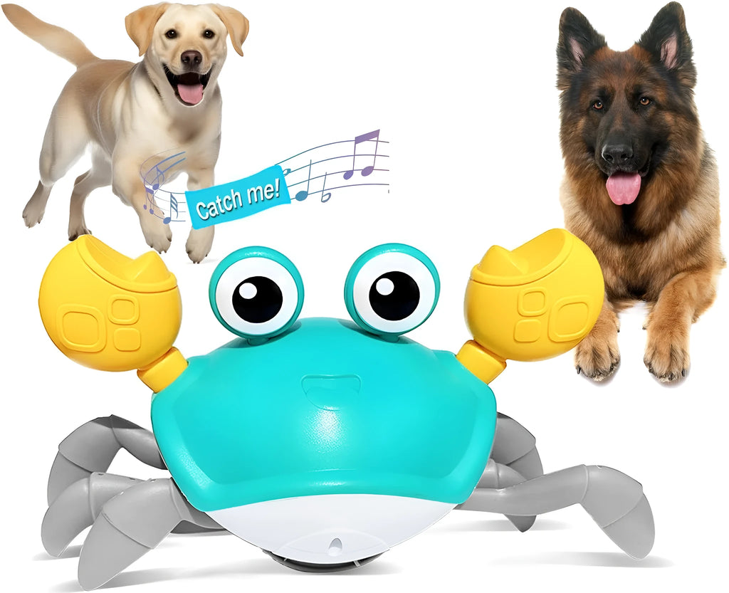 Blue and red electronic crawling crab dog toy with lights on a floor.