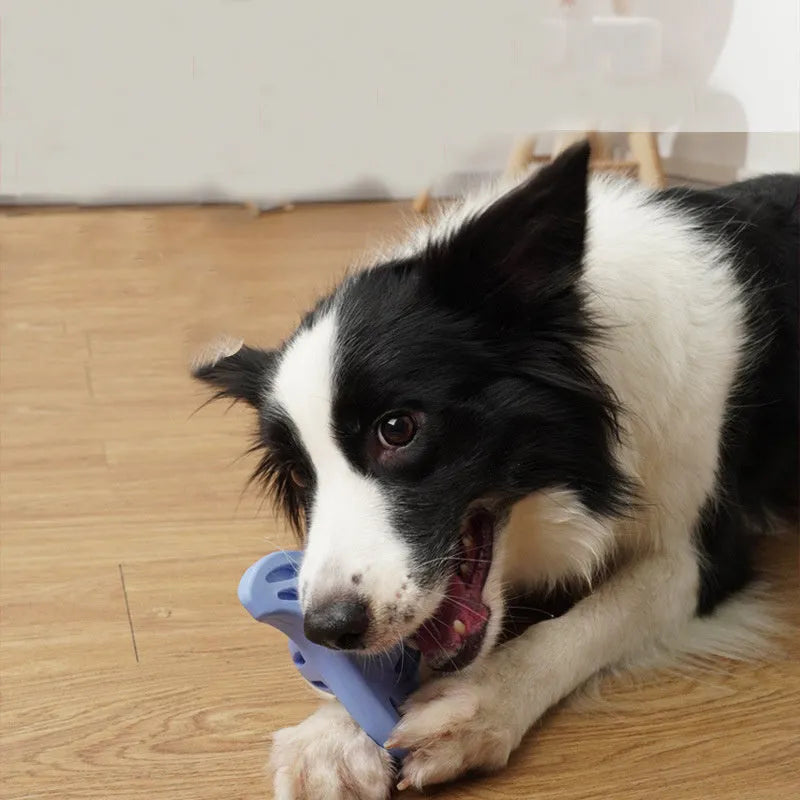 Blue boomerang-shaped dog toy for medium and large breeds on white background