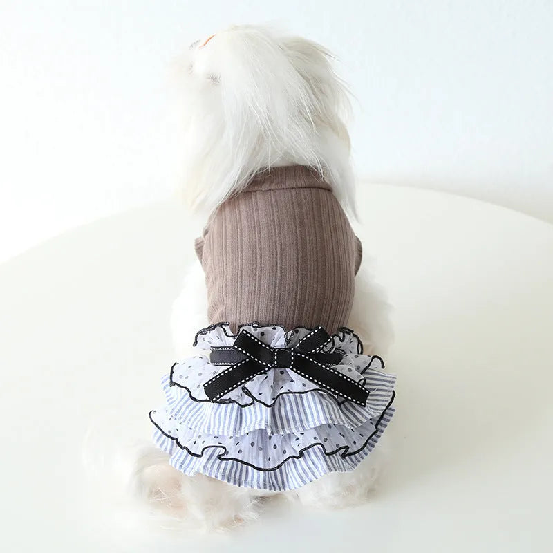 Polka dot lace cake dress pet clothes in taro purple, charcoal black or iced coffee, sizes XS to XL