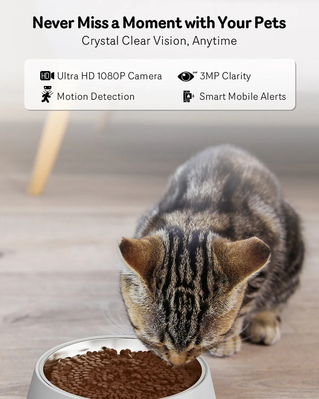 Automatic cat feeder with camera, 4L capacity, 1080P HD video and 5G WiFi, stainless steel tray, 216x350x327mm