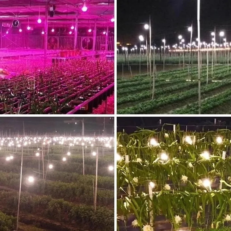 LED plant fill light bulb with PC shell, 9W to 18W options for indoor gardening, IP54 rated