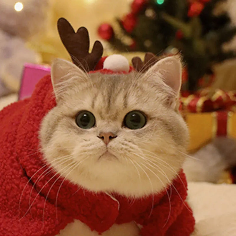Red polar fleece pet cloak with attached antlers on a small dog, showing the full festive costume.