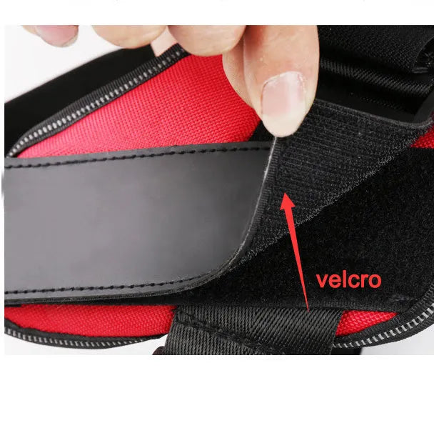 Reflective adjustable no-pull dog harness with handle on black labrador