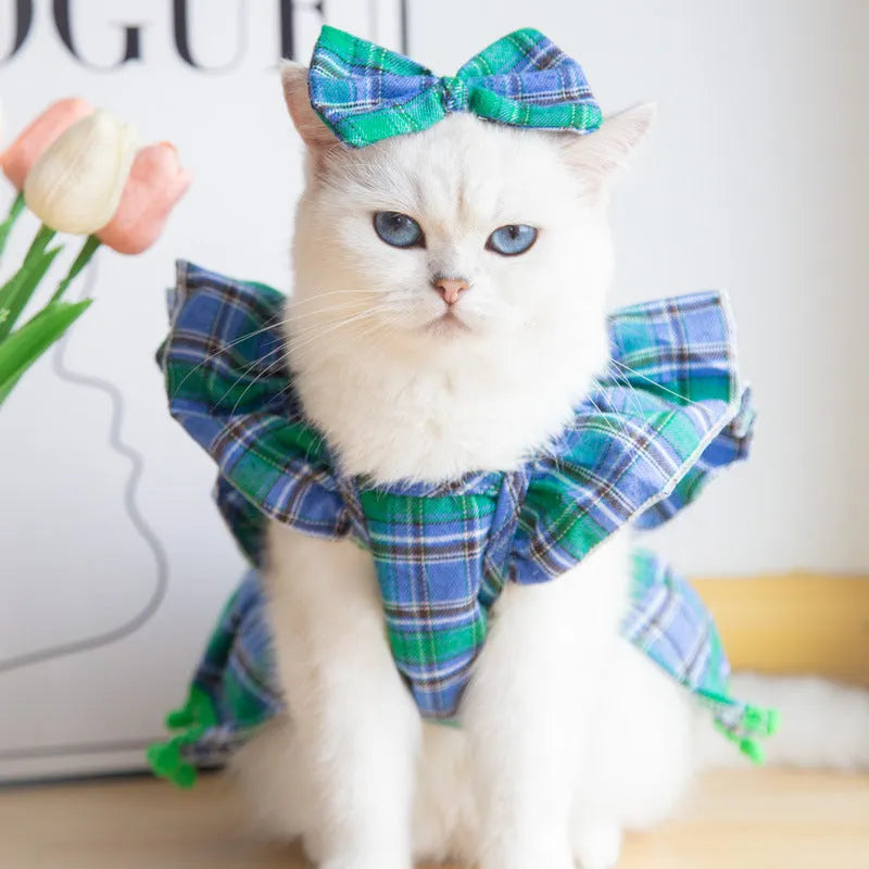 Red tartan Christmas skirt outfit with bow tie and head flower on a cat
