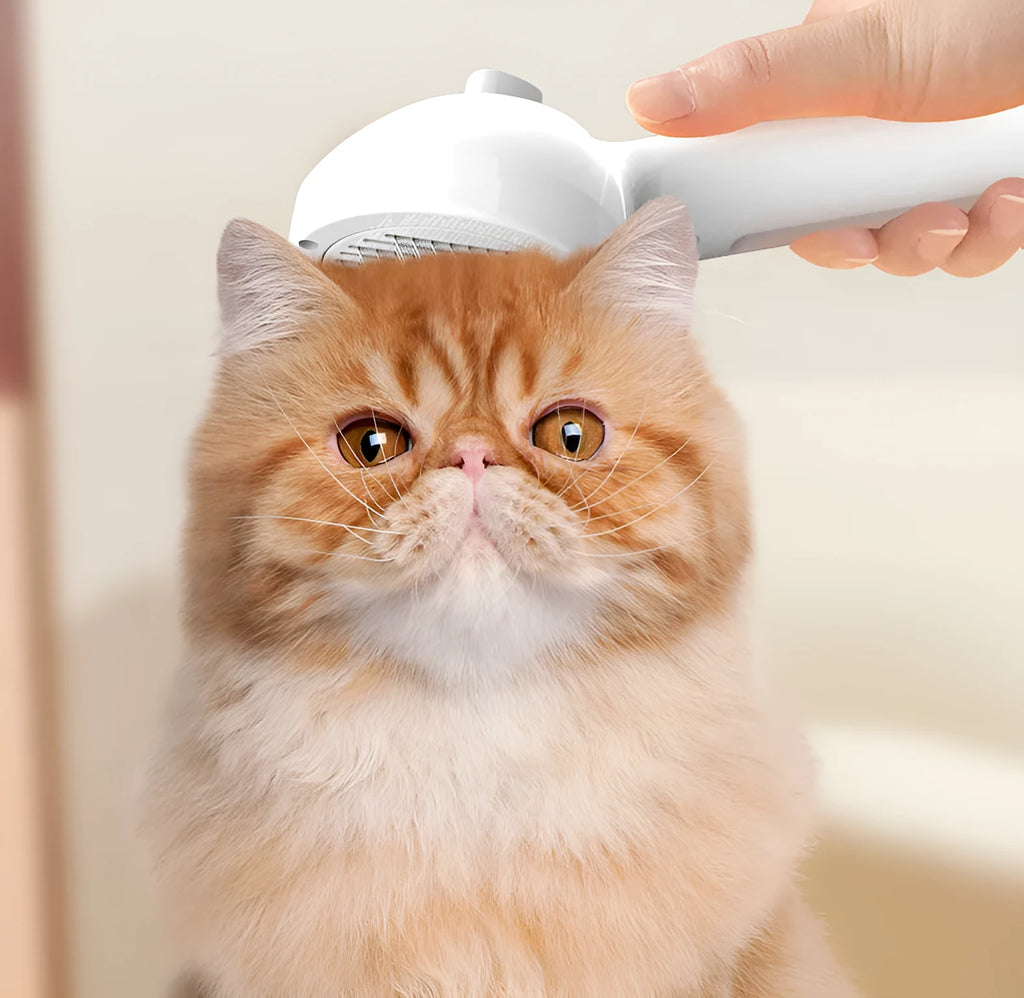 White self-cleaning pet comb with misting function and angled bristles on a light background