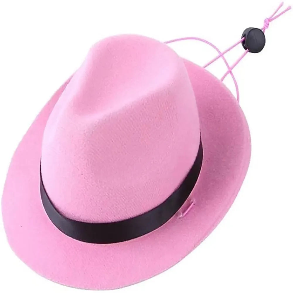 Mini woolen felt pet hat in four colours with 155cm diameter for holiday costumes