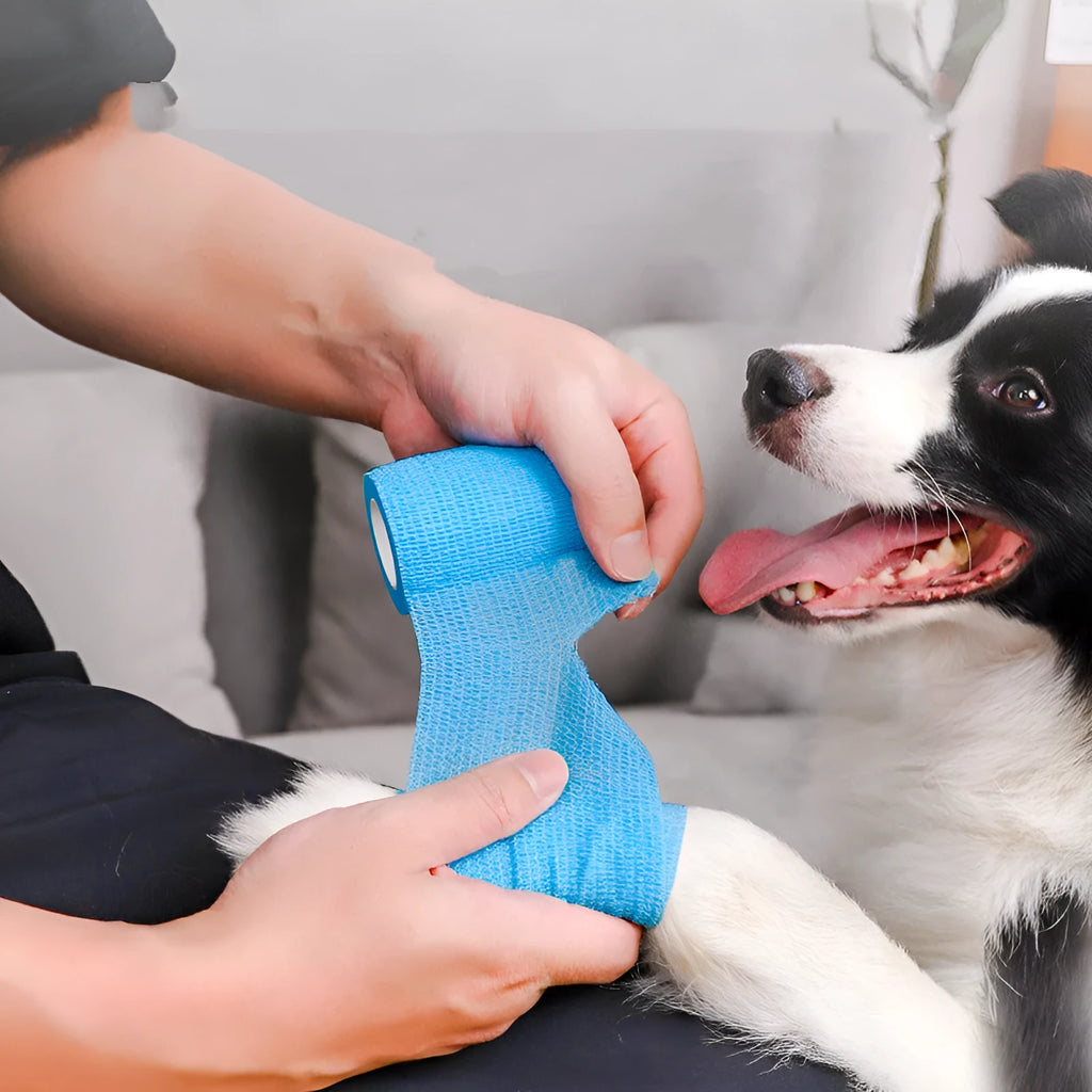 Self-adhesive non-woven puppy leg bandage roll in 2.5cm, 5cm and 7.5cm widths, 450cm long, available in six colours